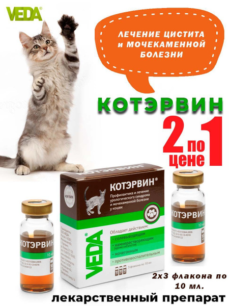 VEDA Котэрвин профилактика и лечение МКБ (раствор) - купить с доставкой ...