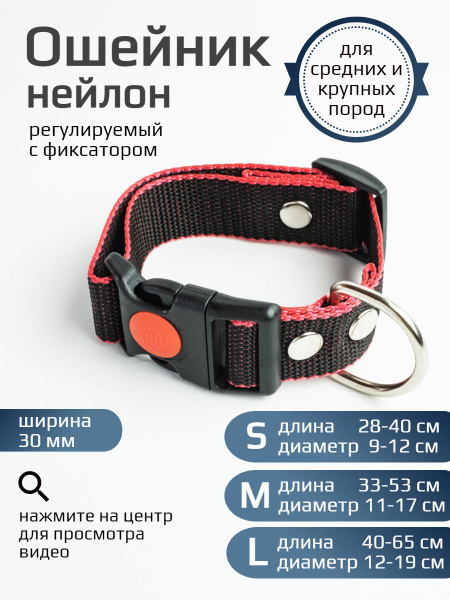 Ошейник для собак средних и крупных пород 30 мм - купить с доставкой по ...