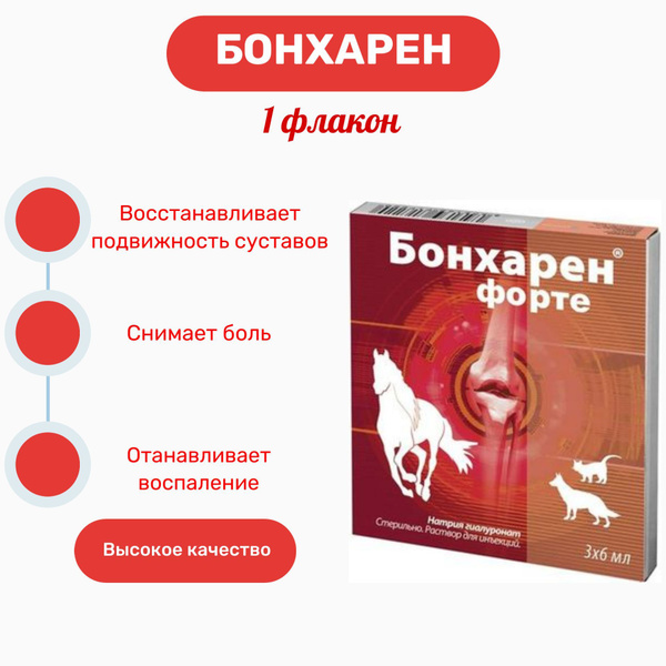 Bonharen Бонхарен форте 6мл ( 1 флакон ) - купить с доставкой по ...