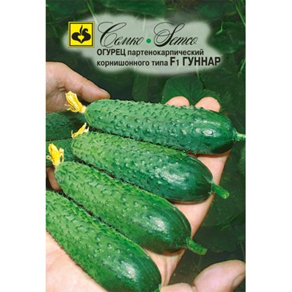 МореСемян / Огурец Гуннар F1 (8 семян) Огурцы. Проф семена ручной фасовки. Семен