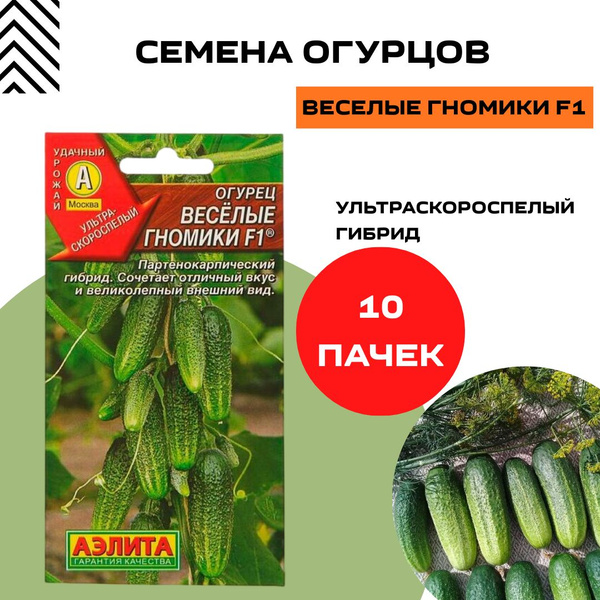 Огурцы зеленые гномики - imperiyaroz.ru