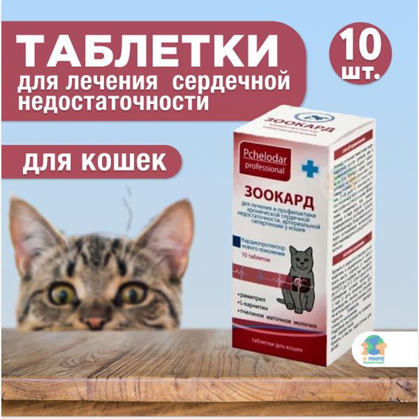 Зоокард для кошек