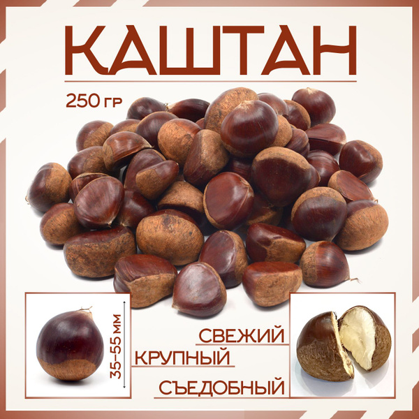 Каштан съедобный, свежий 250 г - купить с доставкой по выгодным ценам в ...