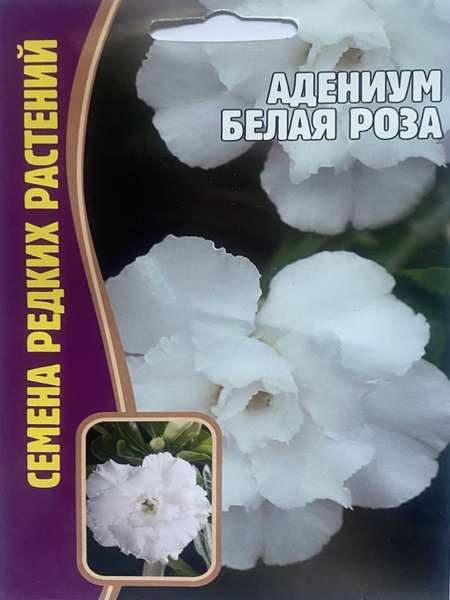 Комнатные растения Григорьев Белая роза, 30 дм, 3 шт - купить по ...