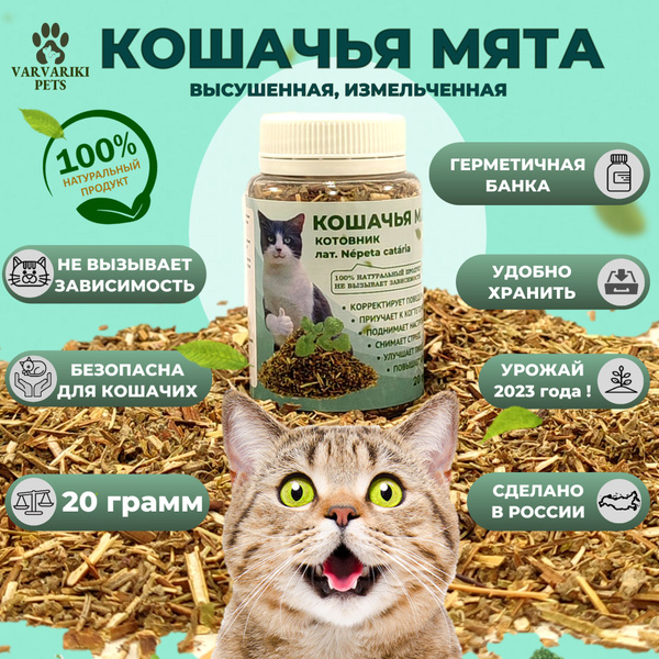 Кошачья мята котовник трава для кошек и котов сушеная измельченная в ...