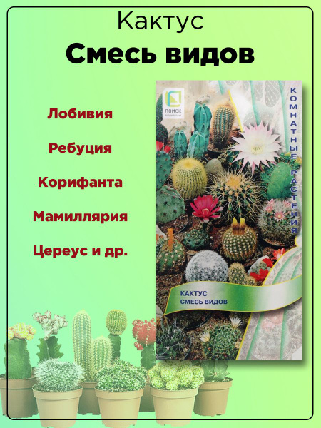 Кактус ПОИСК Агрохолдинг Кактус Смесь видов - купить по выгодным ценам ...