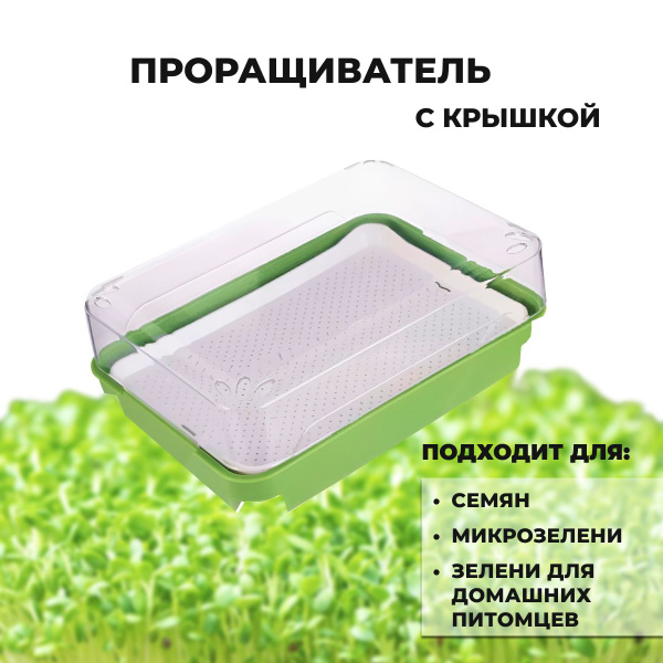 Проращиватель для семян, микрозелени и зелени для домашних питомцев, с ...