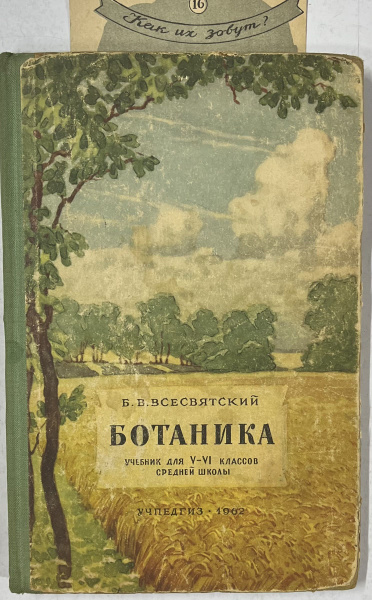 Ботаника, Учебник для 5-6 классов средней школы | Всесвятский Борис ...