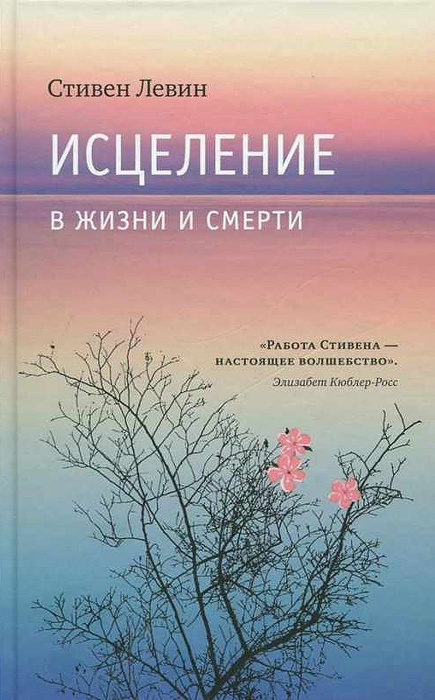 Исцеление в жизни и смерти | Левин Стивен #1