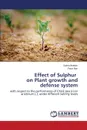 Effect of Sulphur on Plant Growth and Defense System - Ibrahim Saima, Naz Faiza