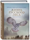 Жизнь русского леса (издание дополненное и переработанное) (стерео-варио) - Митителло Ксения Борисовна