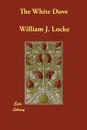 The White Dove - William J. Locke