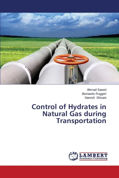 Обложка книги Control of Hydrates in Natural Gas During Transportation, Saeed Ahmad, Ruggeri Bernardo, Shivani Naresh