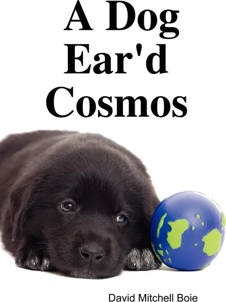 Обложка книги A Dog Ear'd Cosmos, David Mitchell Boie