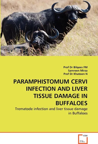 Обложка книги PARAMPHISTOMUM CERVI INFECTION AND LIVER TISSUE DAMAGE IN BUFFALOES, Prof Dr Bilqees FM, Samreen Mirza, Prof Dr Khatoon N