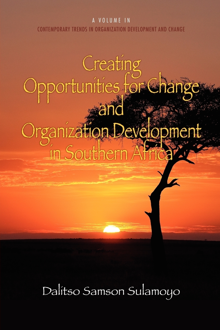 фото Creating Opportunities for Change and Organization Development in Southern Africa