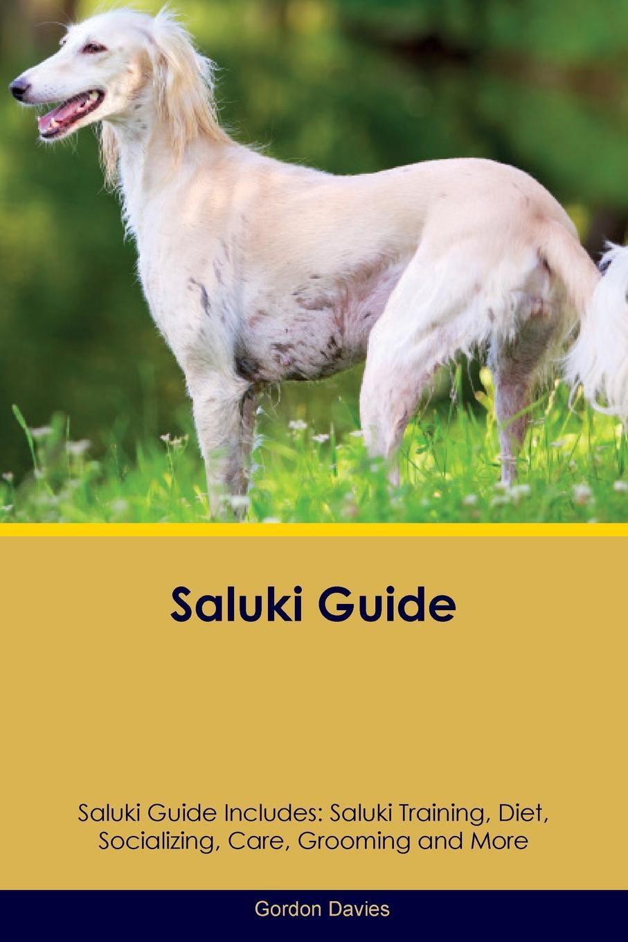 фото Saluki Guide Saluki Guide Includes. Saluki Training, Diet, Socializing, Care, Grooming, Breeding and More