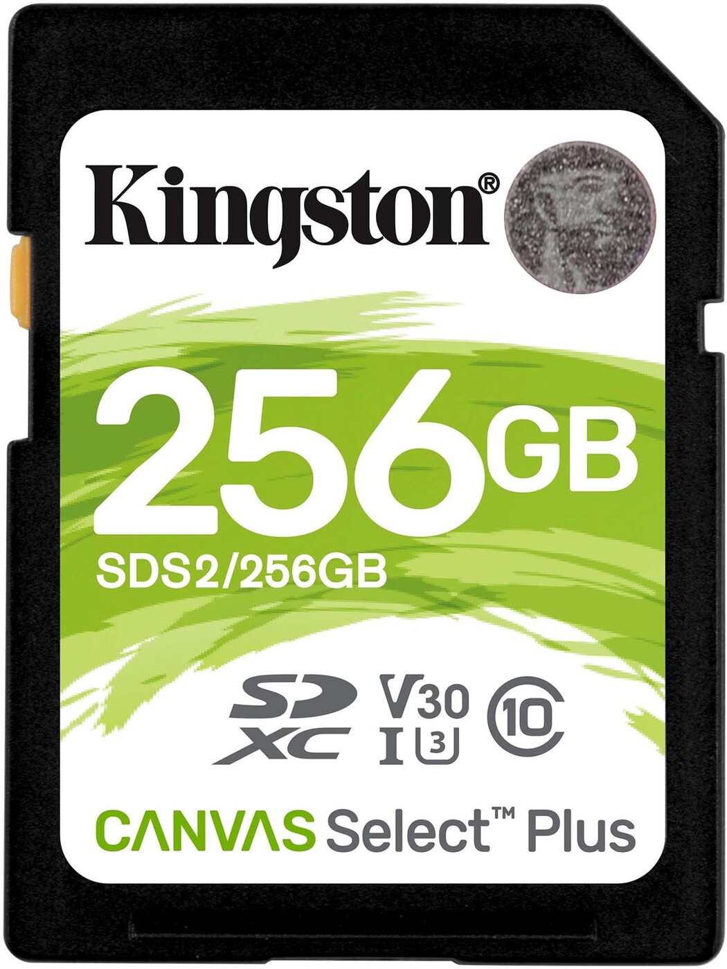 256 Гб Карта памяти Kingston Canvas Select Plus (SDS2/256GB), UHS-I, U3,  class 10 - купить с доставкой по выгодным ценам в интернет-магазине OZON  (870510765)