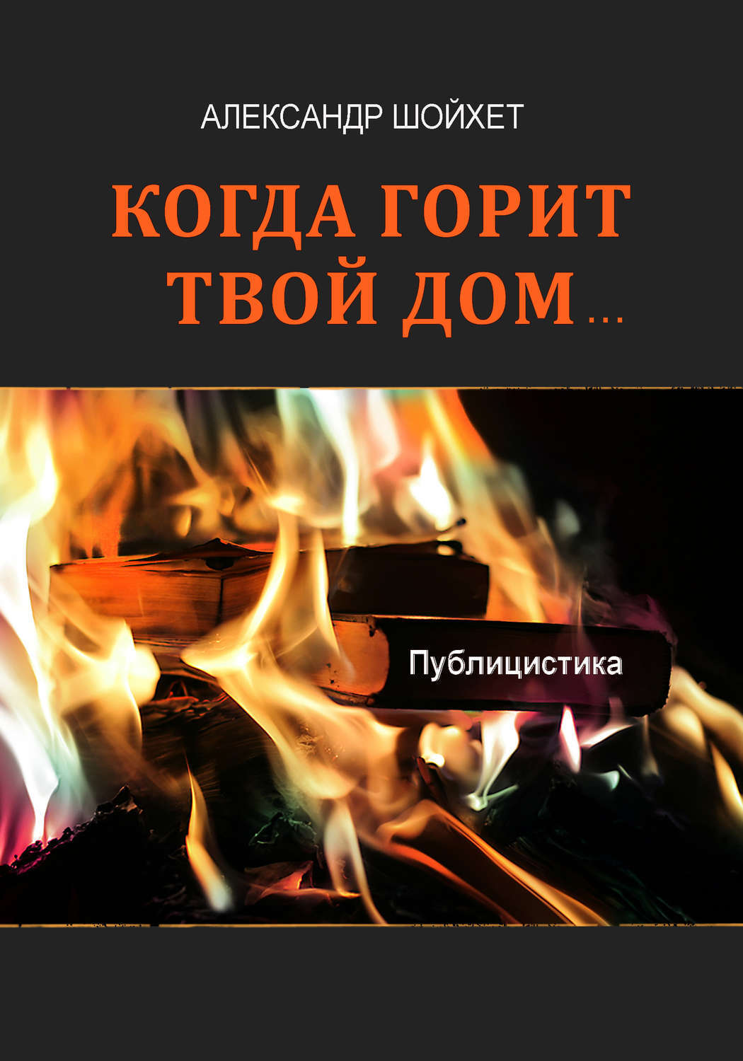 Горящие книги. Книга горит. Книга про горящие книги. Публицистика.