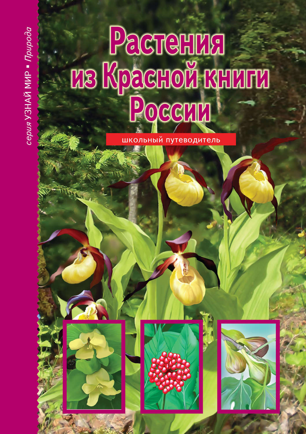 Красная книга россии растения как выглядит Растения из Красной книги России - купить с доставкой по выгодным ценам в интерн