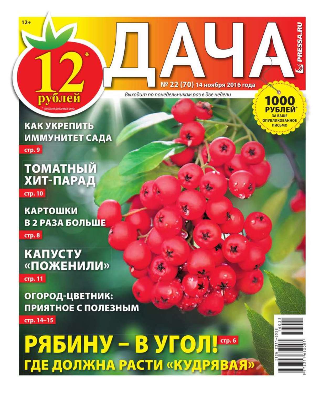 Купи На Дачу Ру Интернет Магазин Отзывы