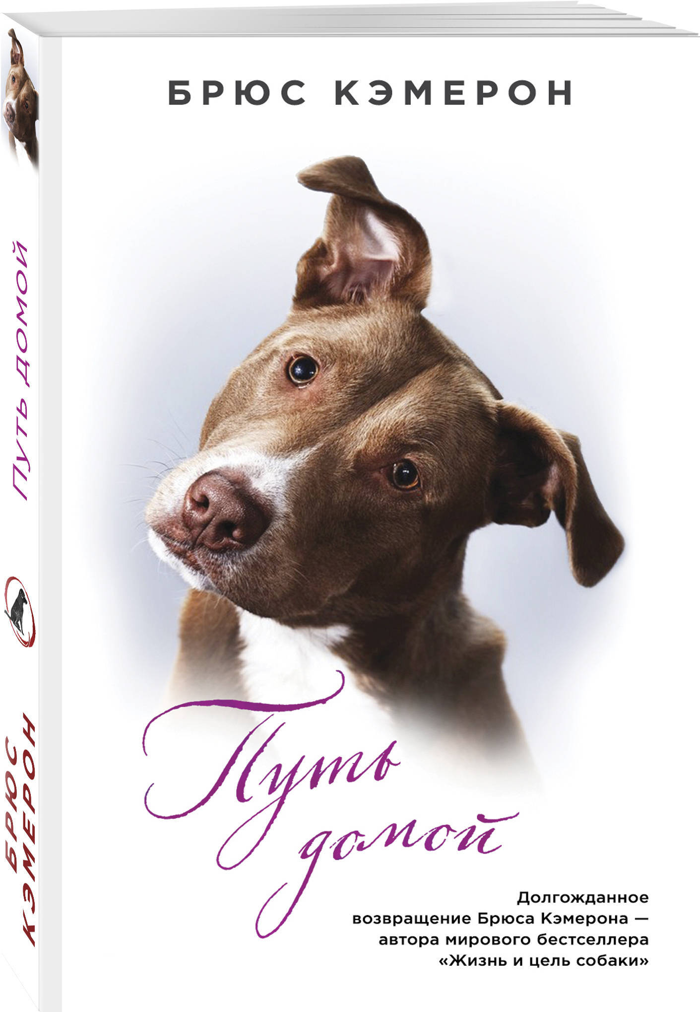 собачья жизнь 2 (2019) постер. путешествие хорошего пса книга. собачья жизнь фильм. итан и бейли. деннис куэйд собачья жизнь 2.