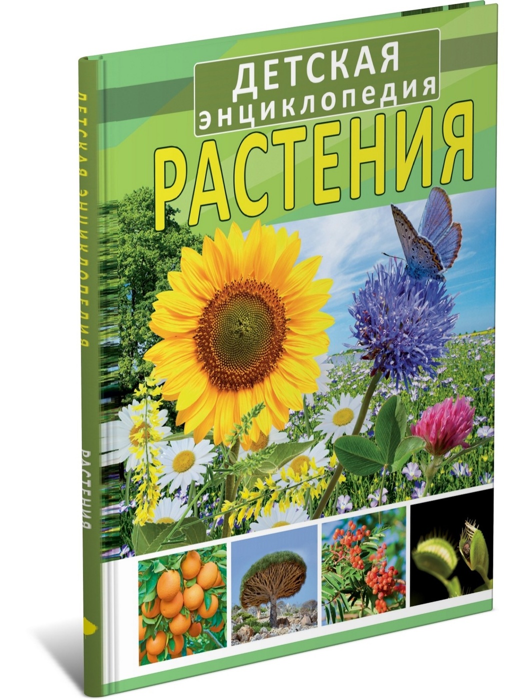 Книги о цветах. Растения. Энциклопедия. Энциклопедия растений для детей. Книги о растениях. Энциклопедия о цветах.