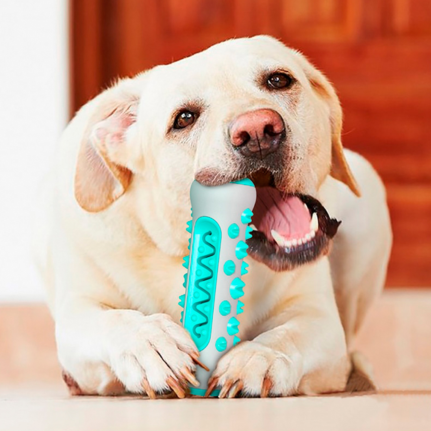 игрушка для чистки зубов собак