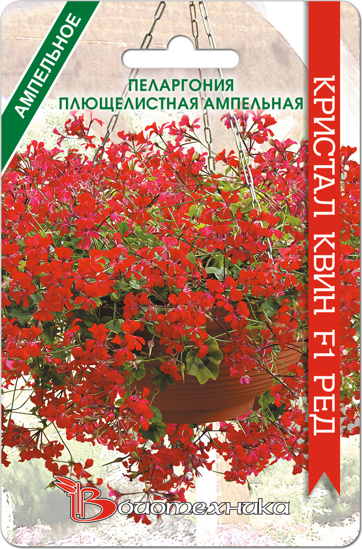 Пеларгония кристал квин. Пеларгония плющелистная ампельная Кристал Квин. Пеларгония плющелистная ампельная Кристал Квин f1 ред. Пеларгония плющелистная ампельная Кристал Квин f1 ред 5 шт (Биотехника). Пеларгония ампельная Кристал Квин f1 (Роуз,.