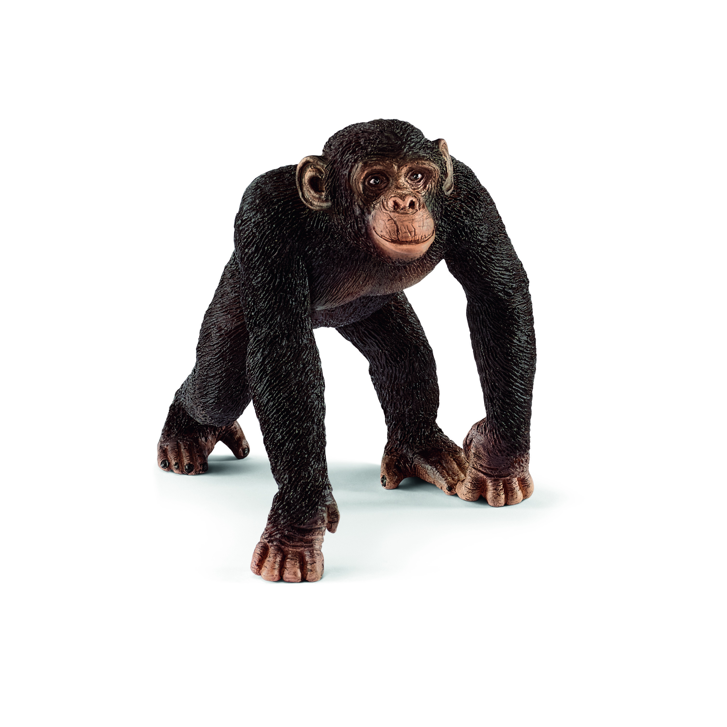 Продажа обезьян. Фигурка Schleich шимпанзе самец 14817. Фигурка шимпанзе Schleich. Фигурка Schleich горилла самец 14770. Schleich шимпанзе самка 14817.