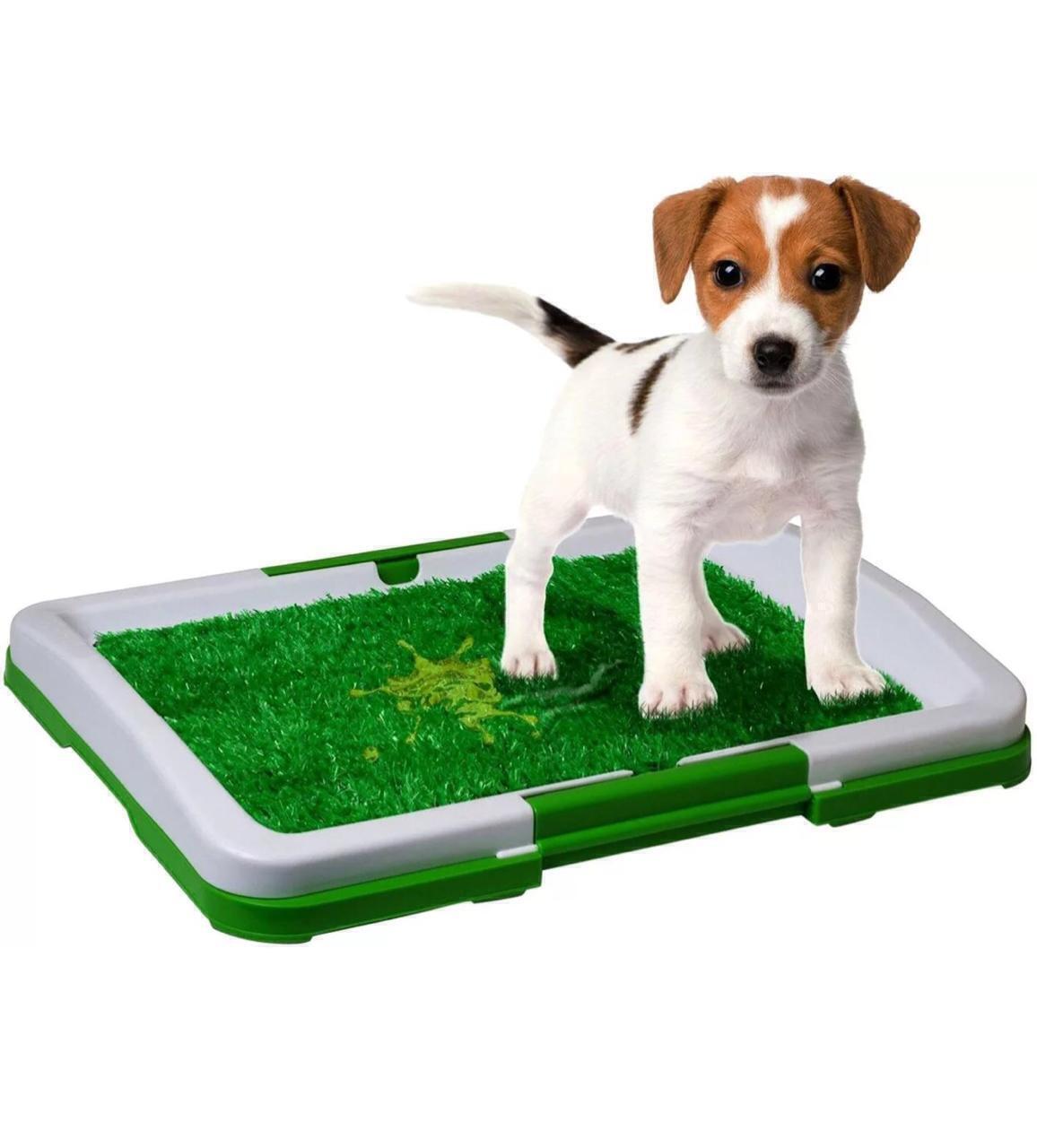 Туалет Puppy Potty Pad