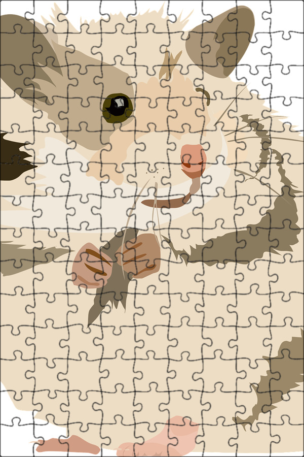 Amazon.com: Puzzle Questions: Apps & Games