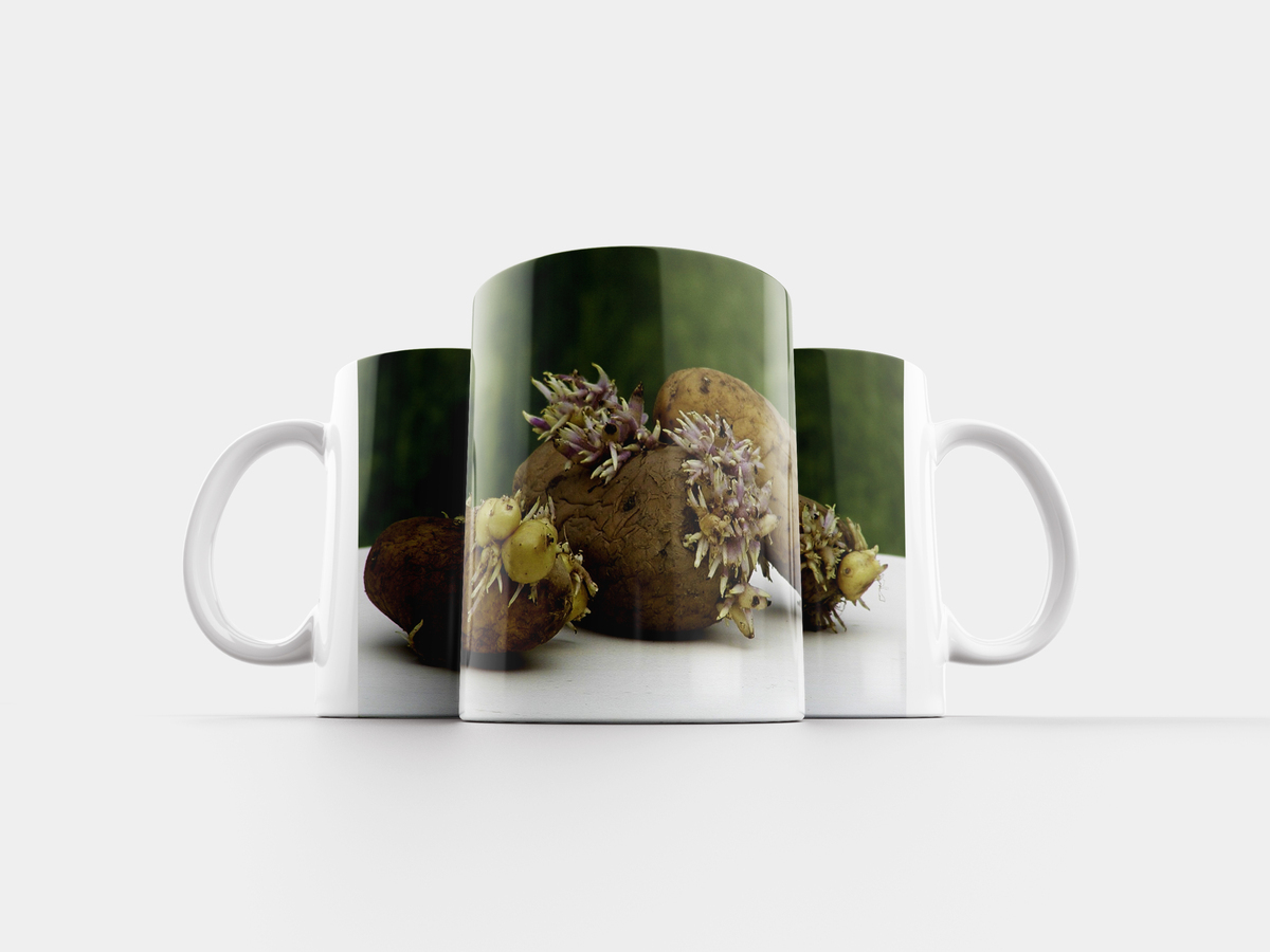 кружки корень