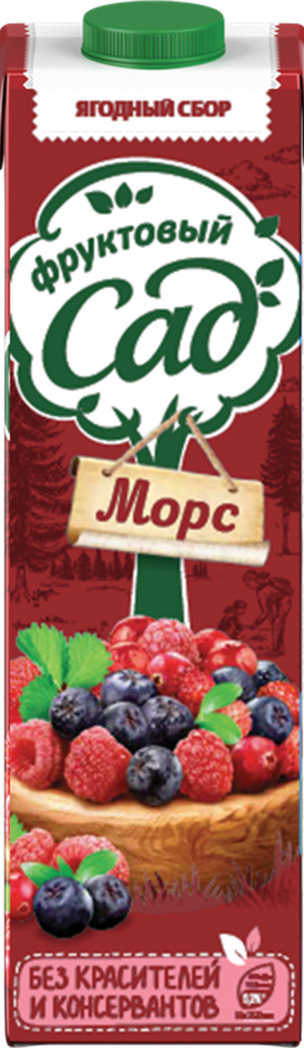 Морс Фруктовый сад Ягоды (0,95л* 12шт) - купить с доставкой по выгодным ...
