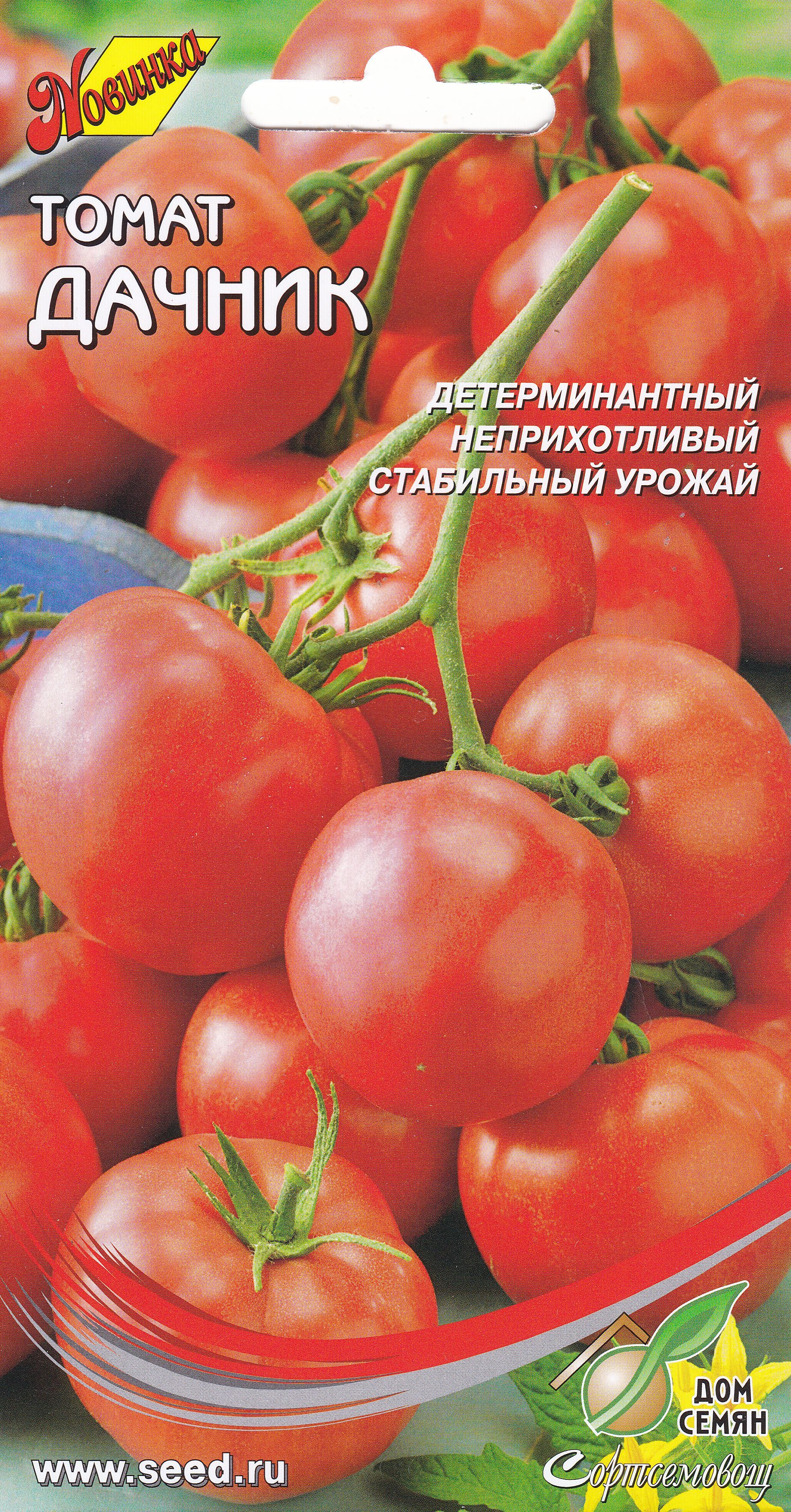 Томаты, Разнообразные овощи Дом Семян Томат Дачник - купить по выгодным  ценам в интернет-магазине OZON (383992638)