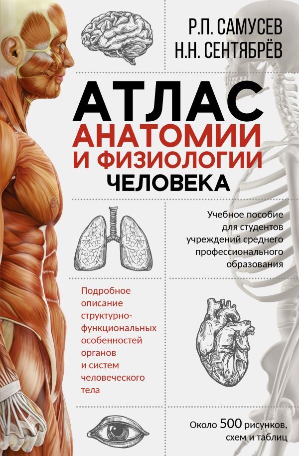 Анатомия и физиология человека проект Атлас анатомии и физиологии человека. Учебное пособие для студентов учреждений с
