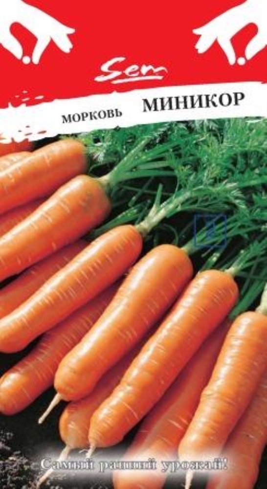 Купить Семена Моркови Боливар