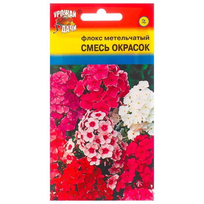 Флоксы Однолетние Купить Семена