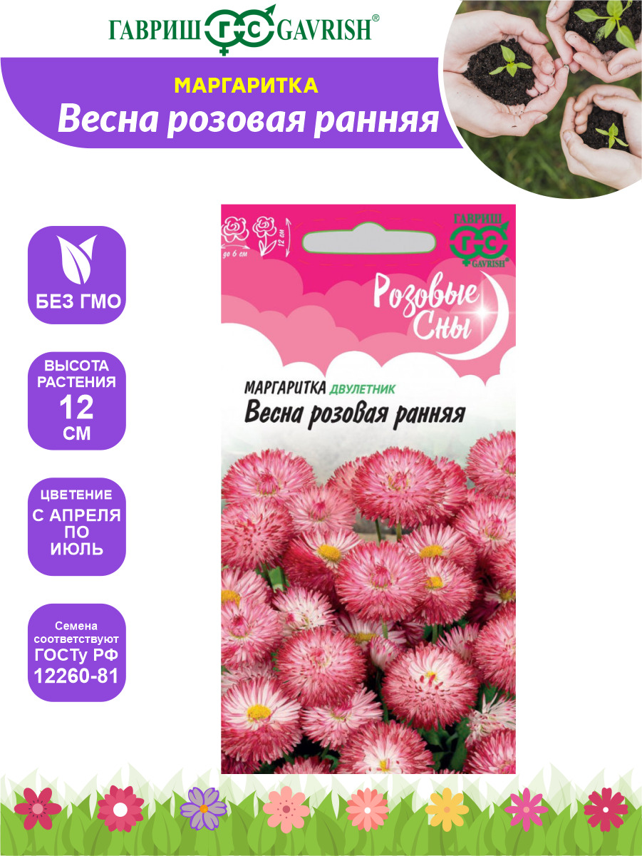 Маргаритки Семена Купить