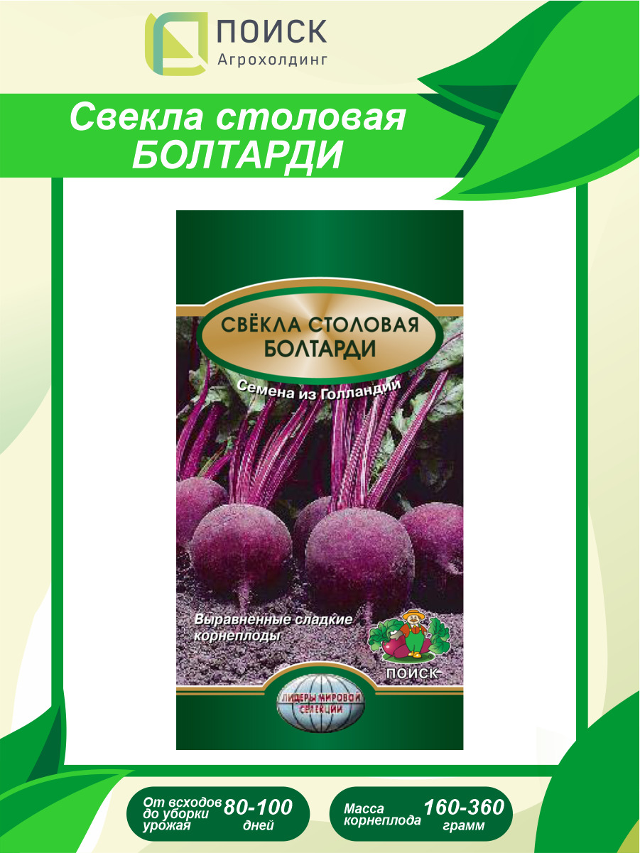 Купить Семена Свеклы Столовой