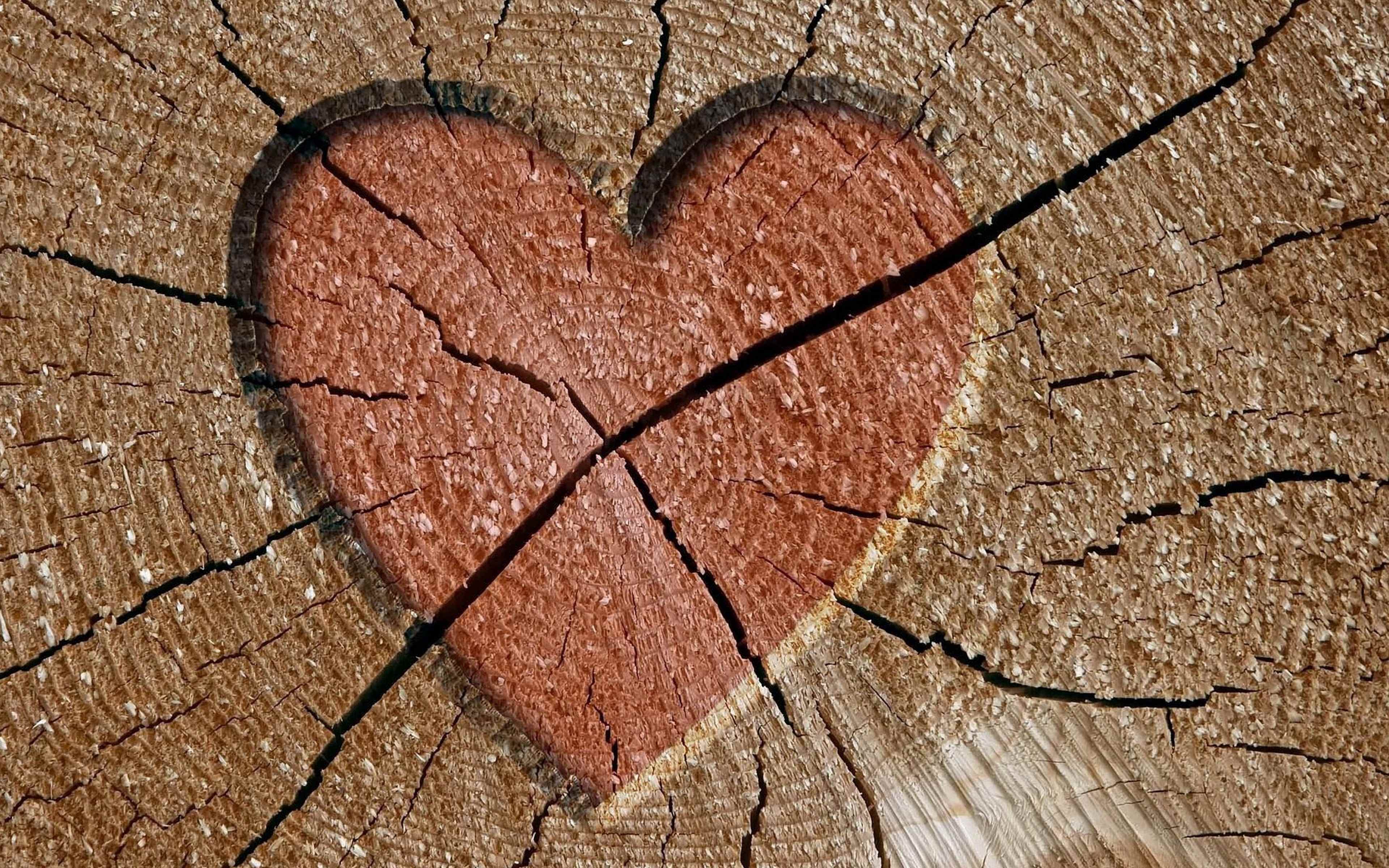 Трещин день. Сердце с трещиной. Дерево сердце. Обои с сердечками. Дерево с сердечками.