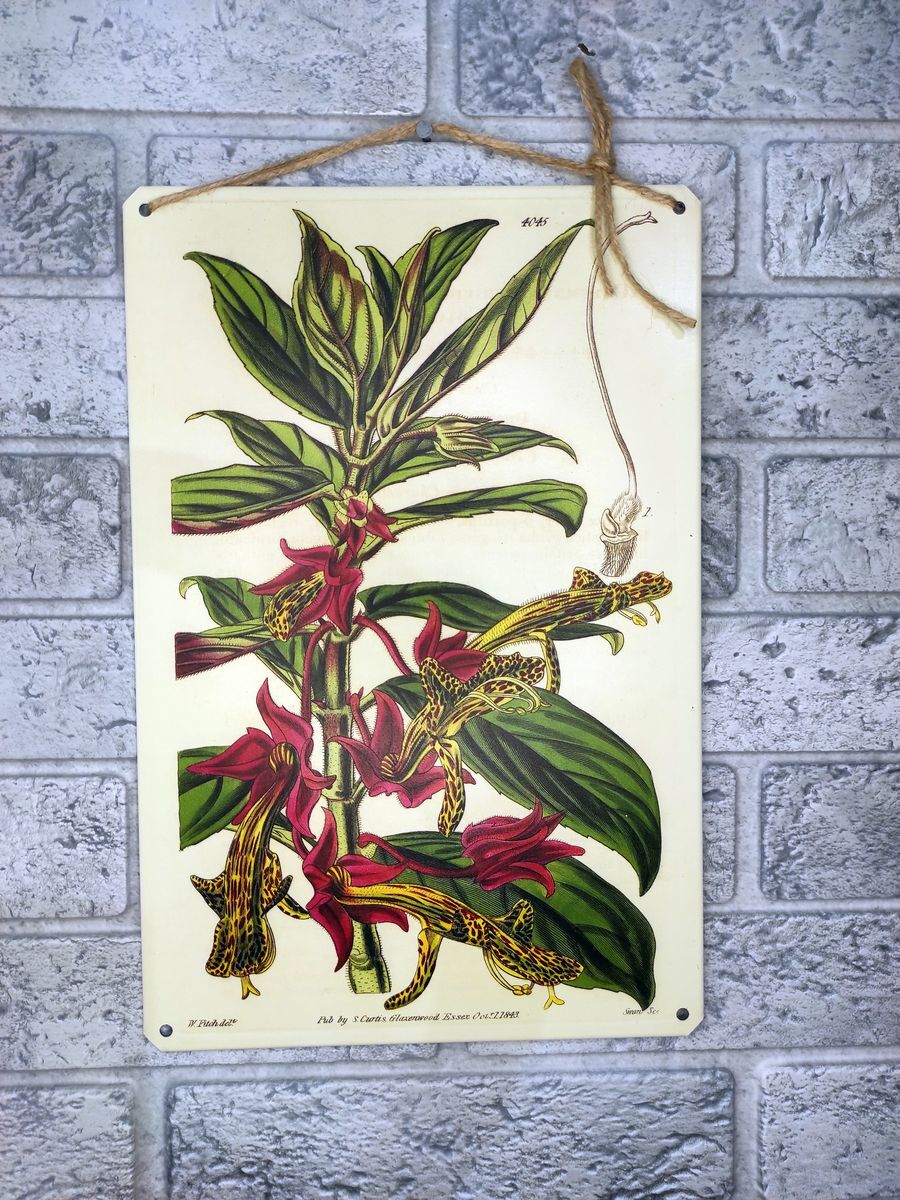 Все ботанические науки. Картина растения Ботанические. Металлические картины с цветами. Картина ботаник. Картина из металла.
