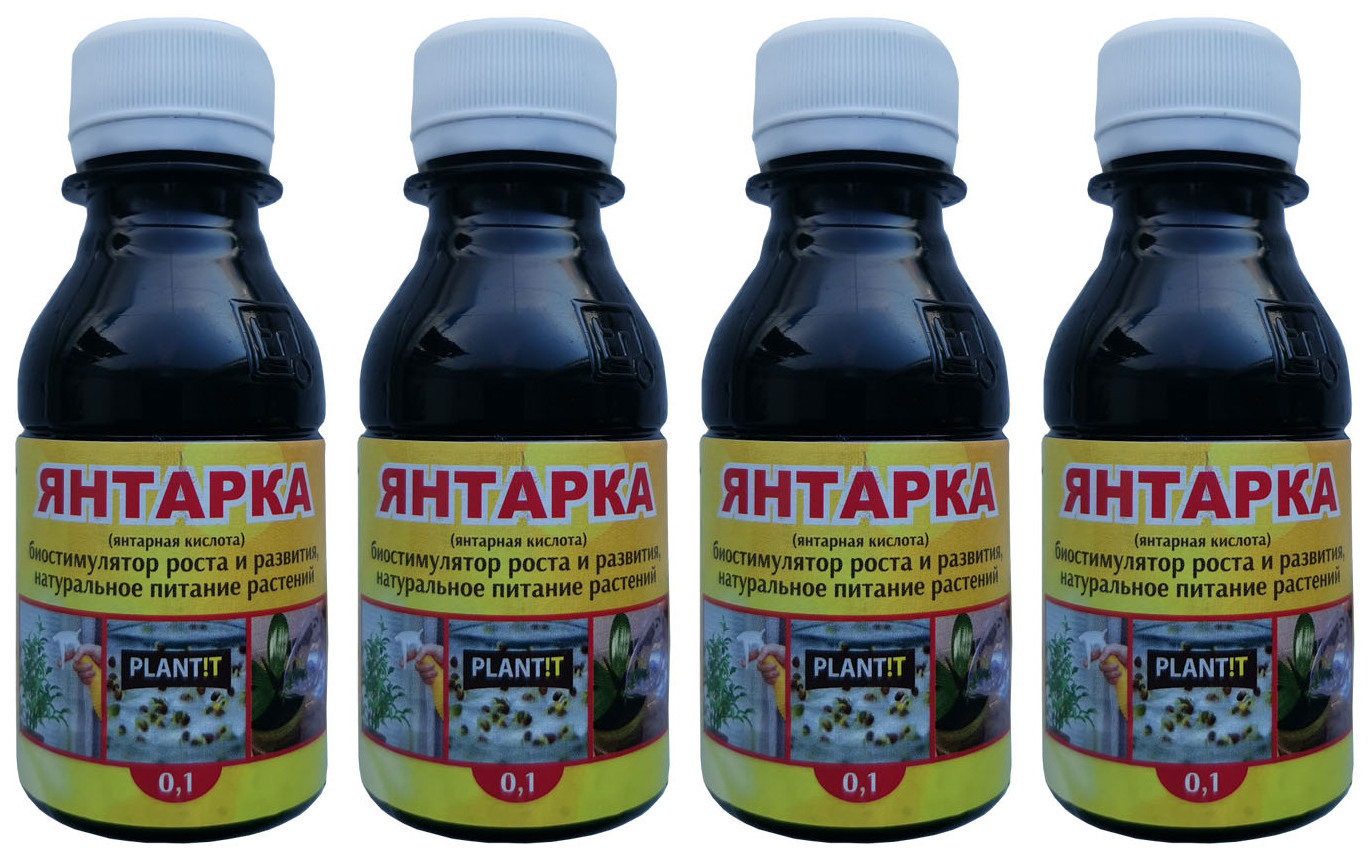 янтарная кислота 4г био-мастер. антуриум и янтарная кислота. янтарная кислота 5 гр. янтарная кислота ортон. подкормка томатов янтарной кислотой.