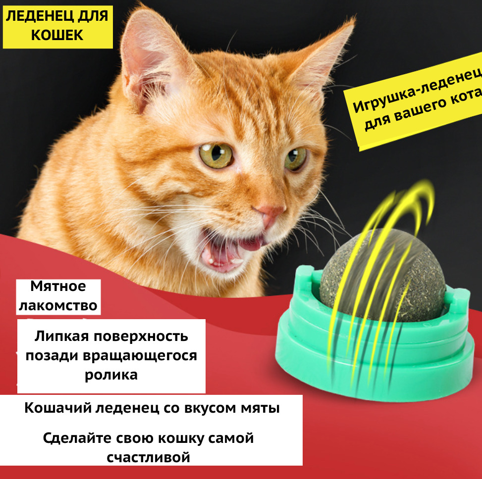 Можно коту мяту. Кошка с леденцом Кошачья мята. Леденец для кошек. Кошка с кошачьим леденцом. Лакомство кошачий леденец.