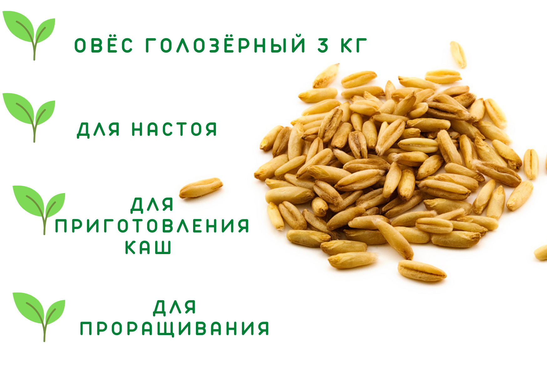 Овёс для проращивания голозёрный 3 кг - купить с доставкой по выгодным  ценам в интернет-магазине OZON (247672961)