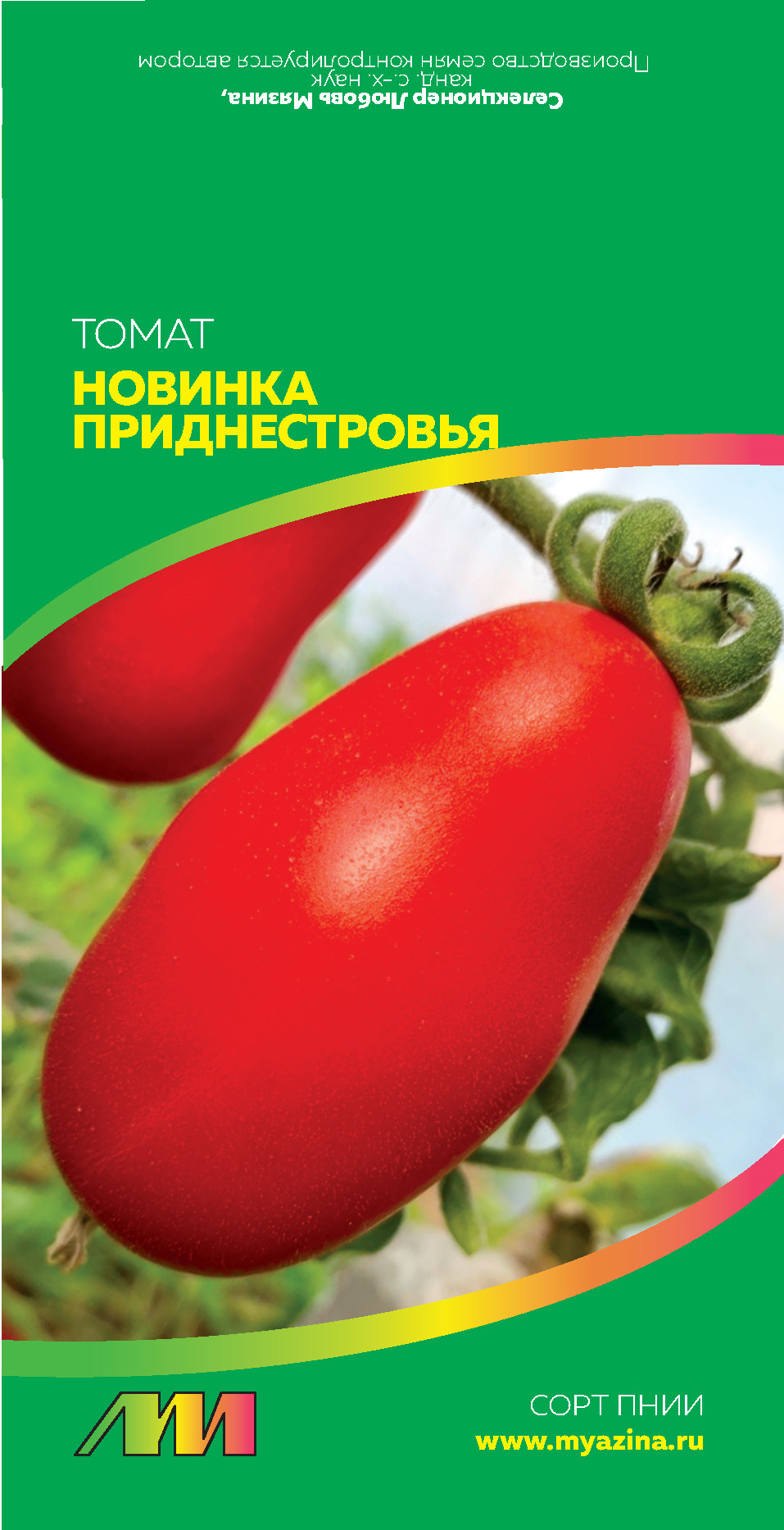 Сорт помидор новинка Приднестровья. Семена томат новинка Приднестровья. Новинка Приднестровье сорт.