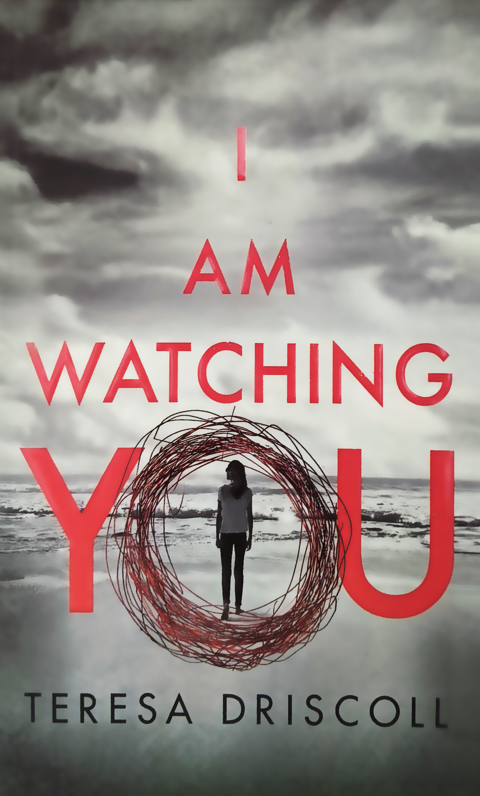 I am watching you. Тереза Дрисколл книги. Тереза Дрисколл я Слежу за тобой. Teresa Driscoll i am watching you. I watching you.