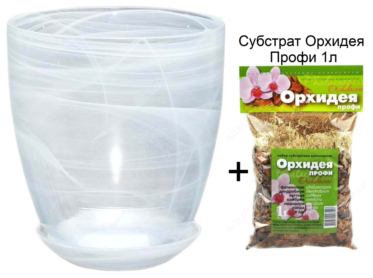 Закрепление растения в субстрате