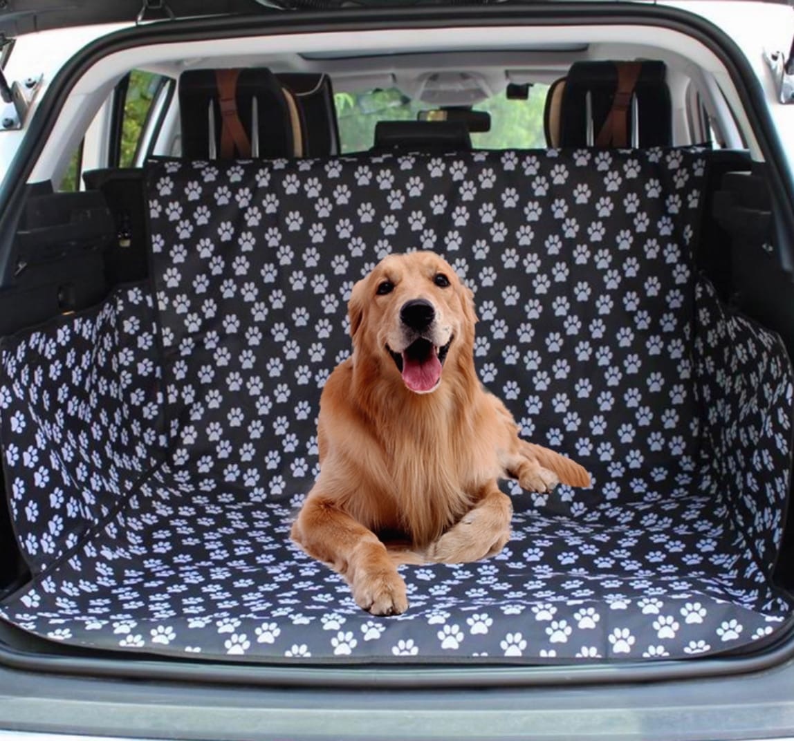 Собака в багажнике автомобиля