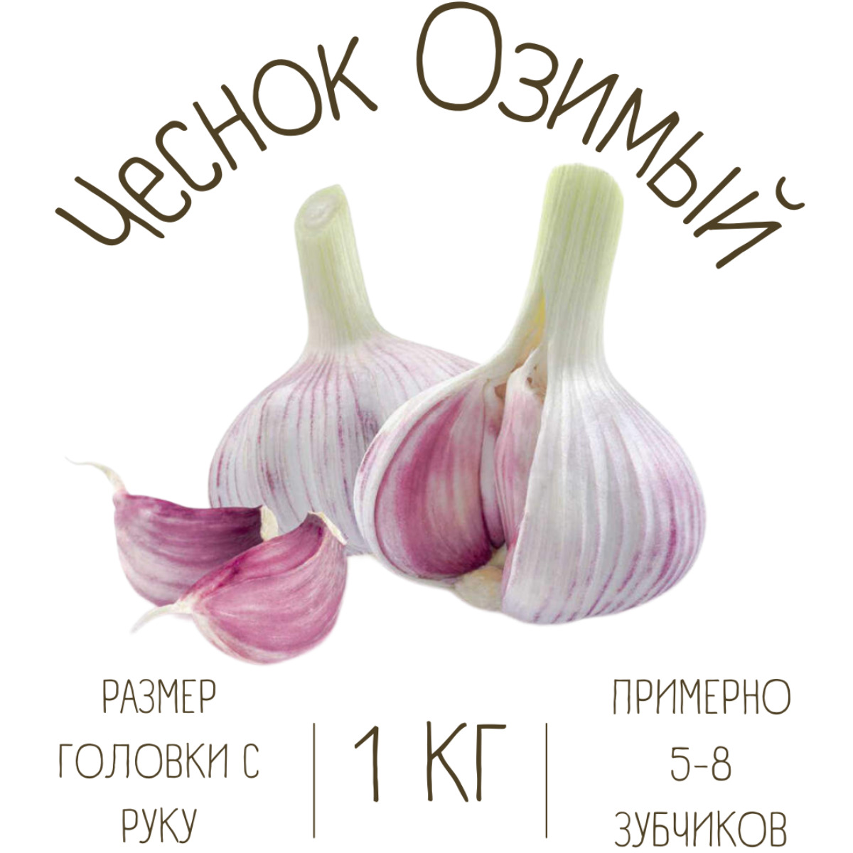 Чеснок Озимый 1 кг купить...